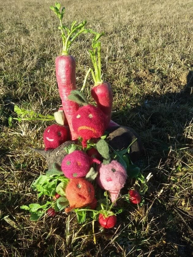 die-erdis-puppen-gemuese