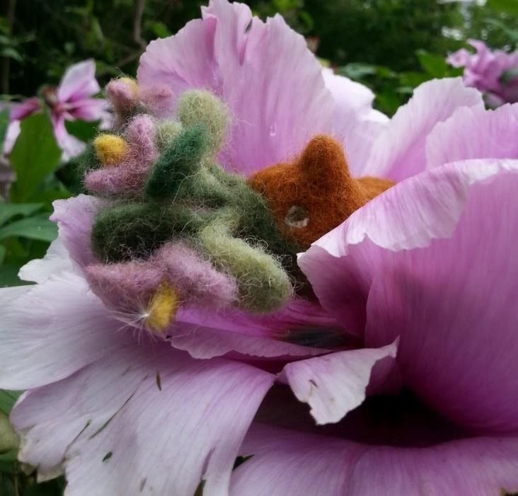 die-erdis-puppen-in-blume