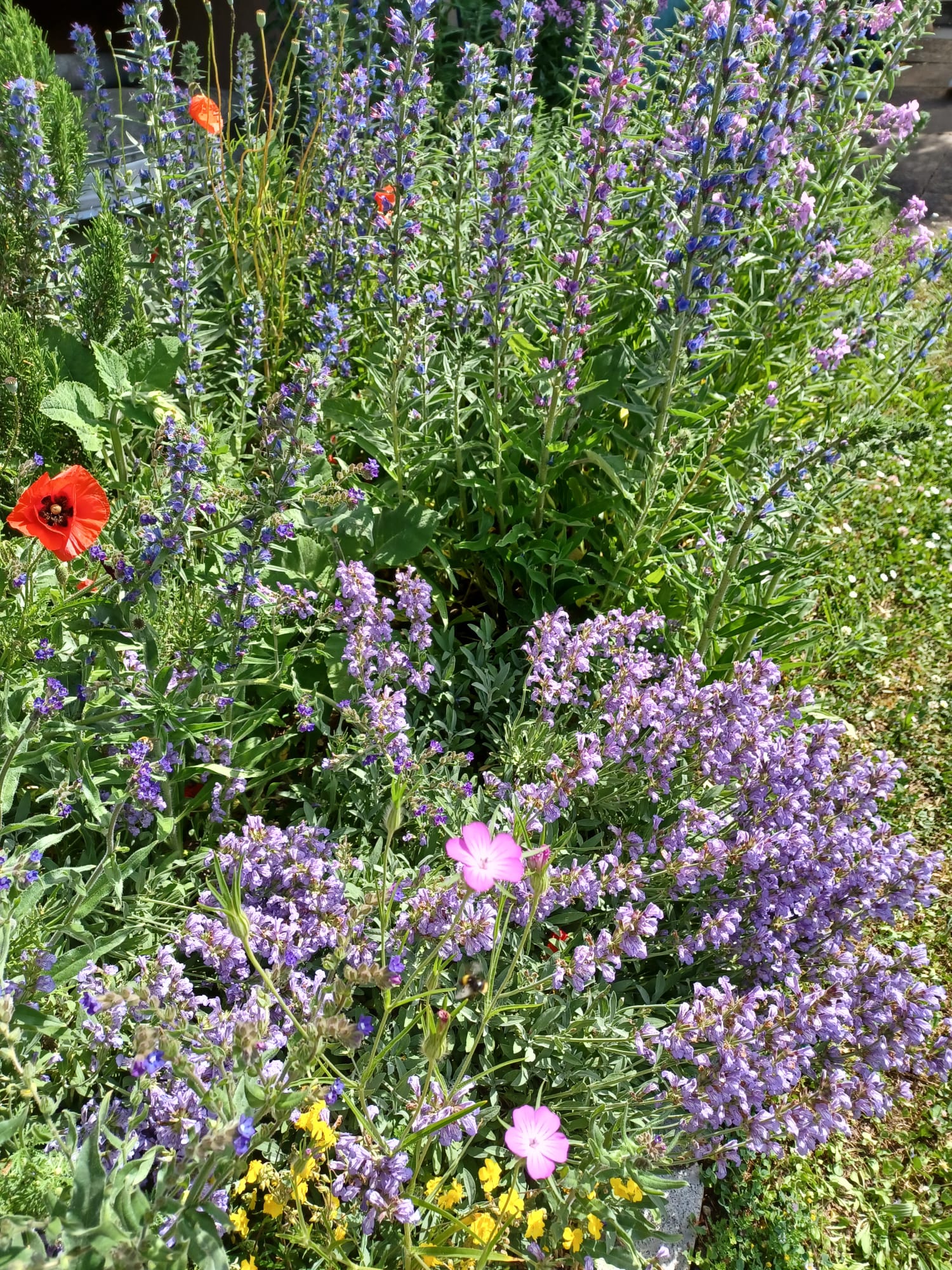 WhatsApp Image 2025-06-01 at 19.39.29 (1)