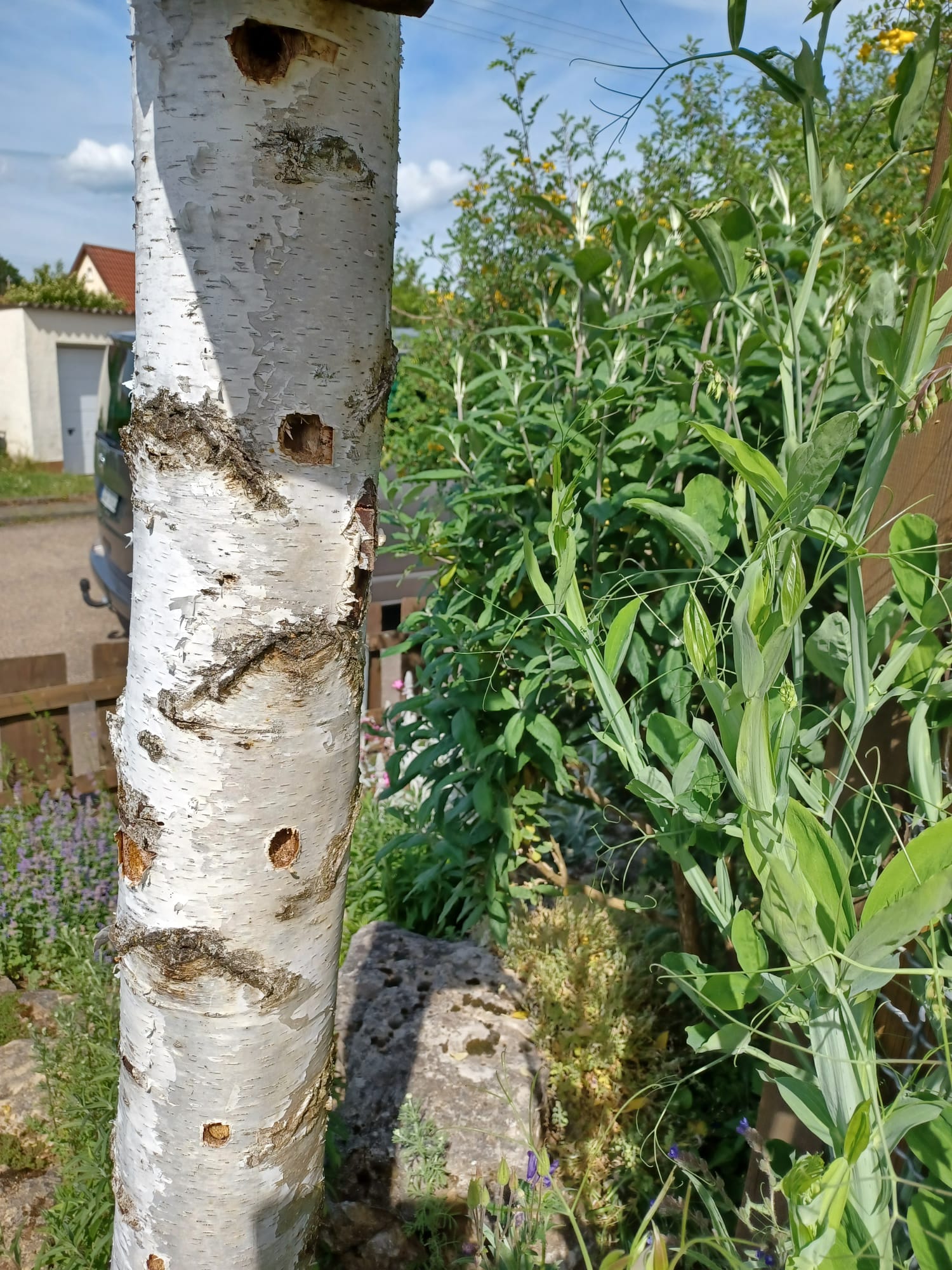 WhatsApp Image 2025-06-01 at 19.39.42