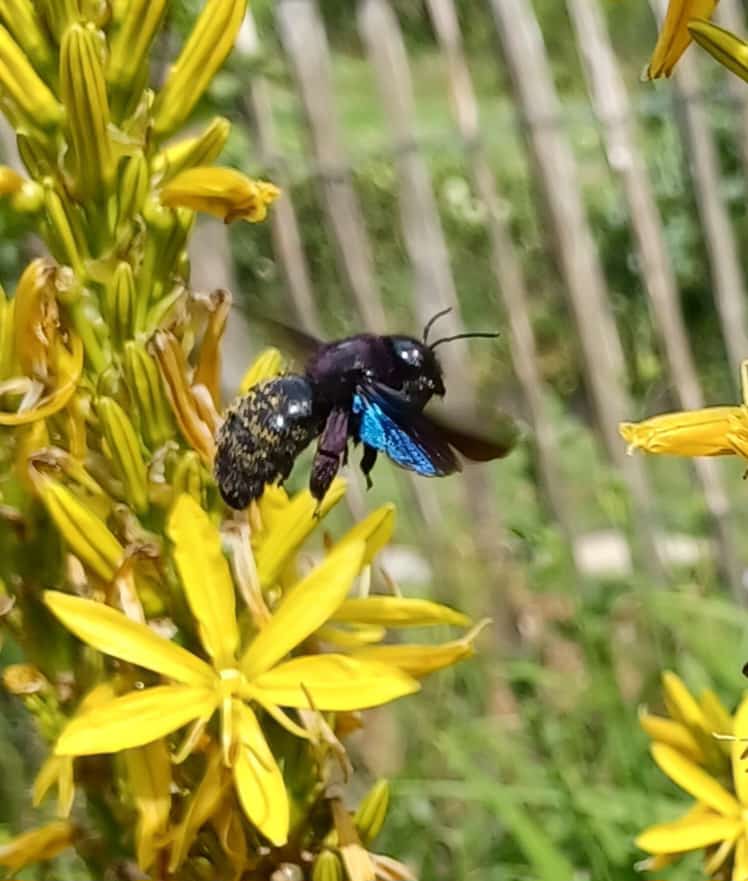 WhatsApp Image 2025-06-01 at 19.39.52 (3)