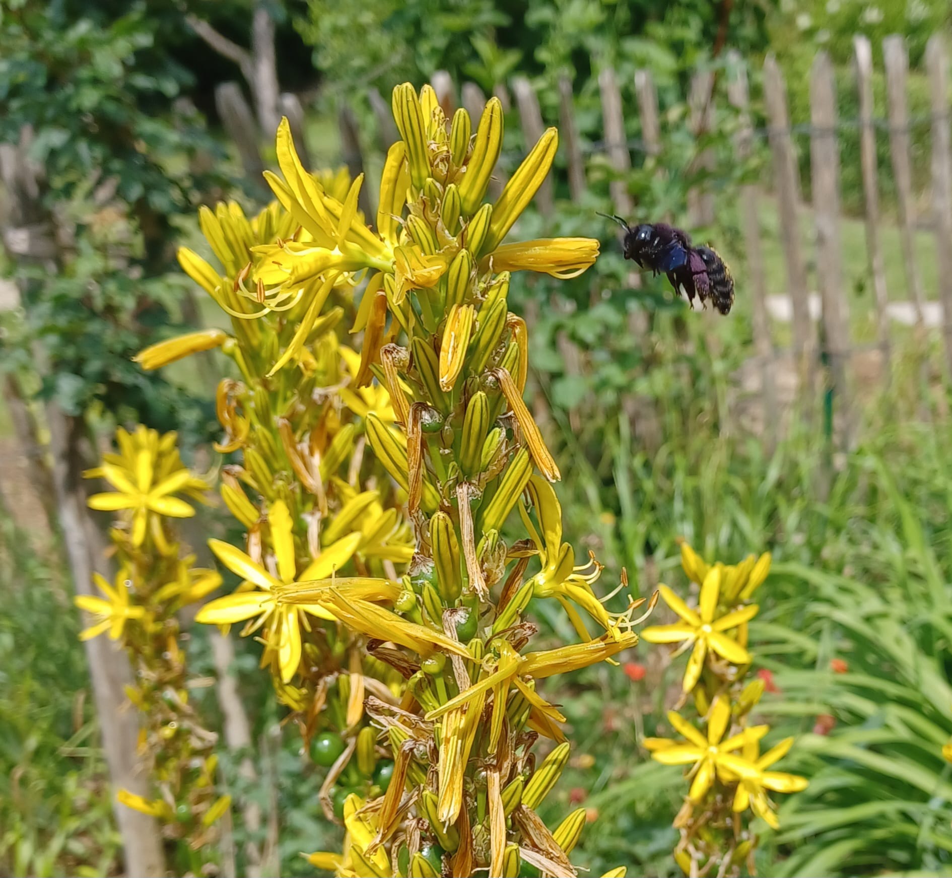 WhatsApp Image 2025-06-01 at 19.39.52 (4)