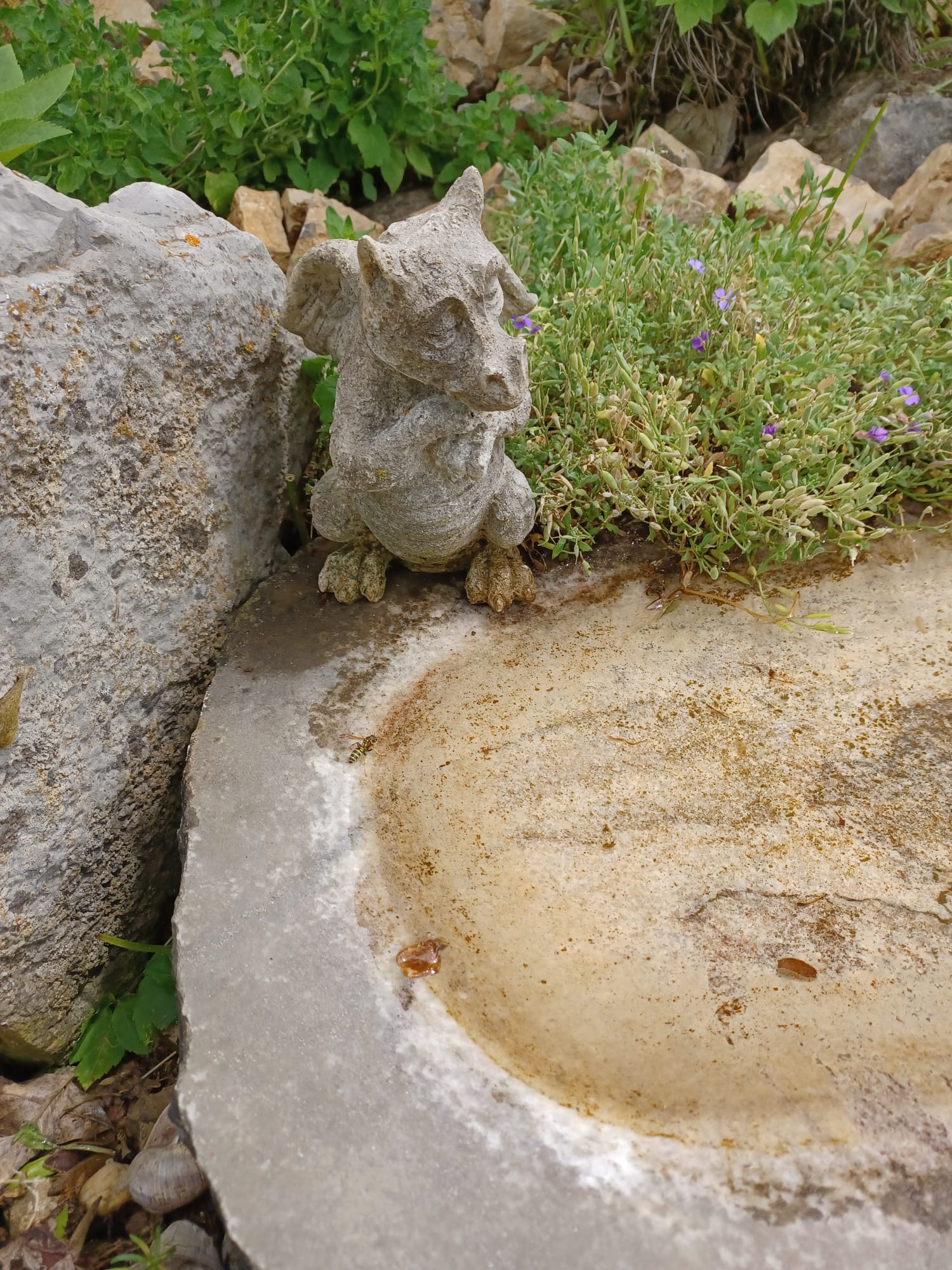 WhatsApp Image 2025-06-01 at 19.39.53 (1)