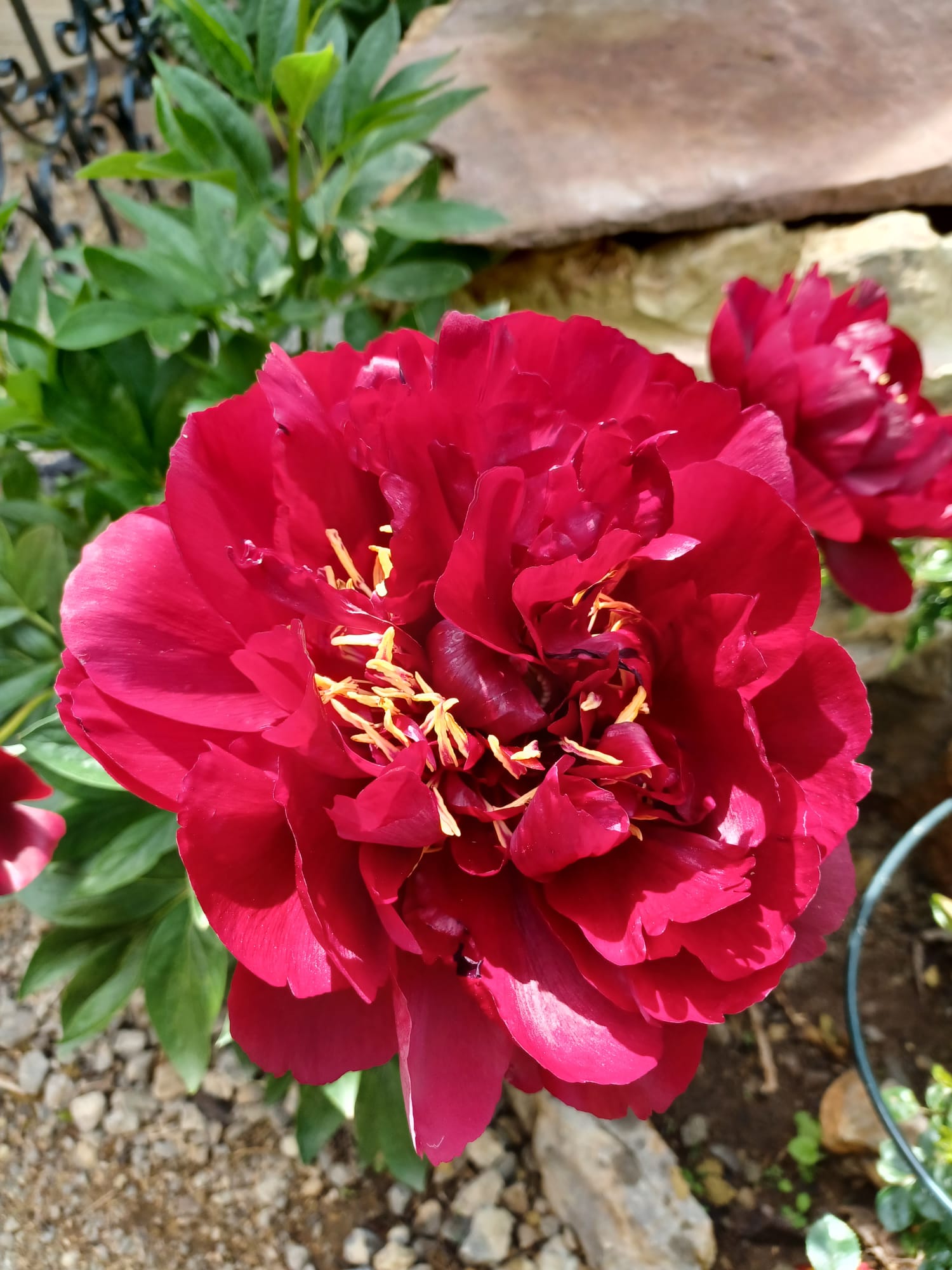 WhatsApp Image 2025-06-01 at 19.39.53