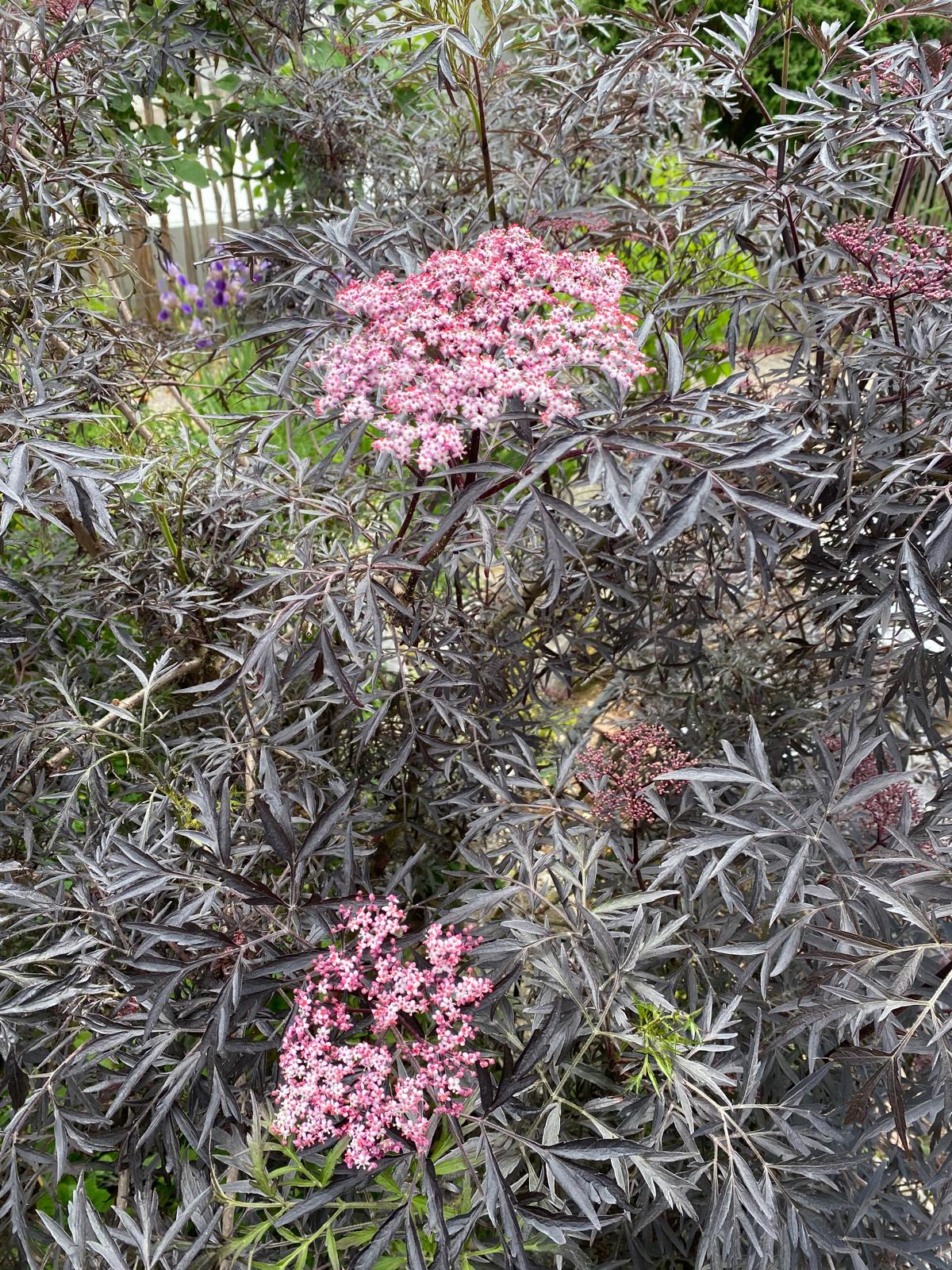 WhatsApp Image 2025-06-13 at 13.28.56 (1)