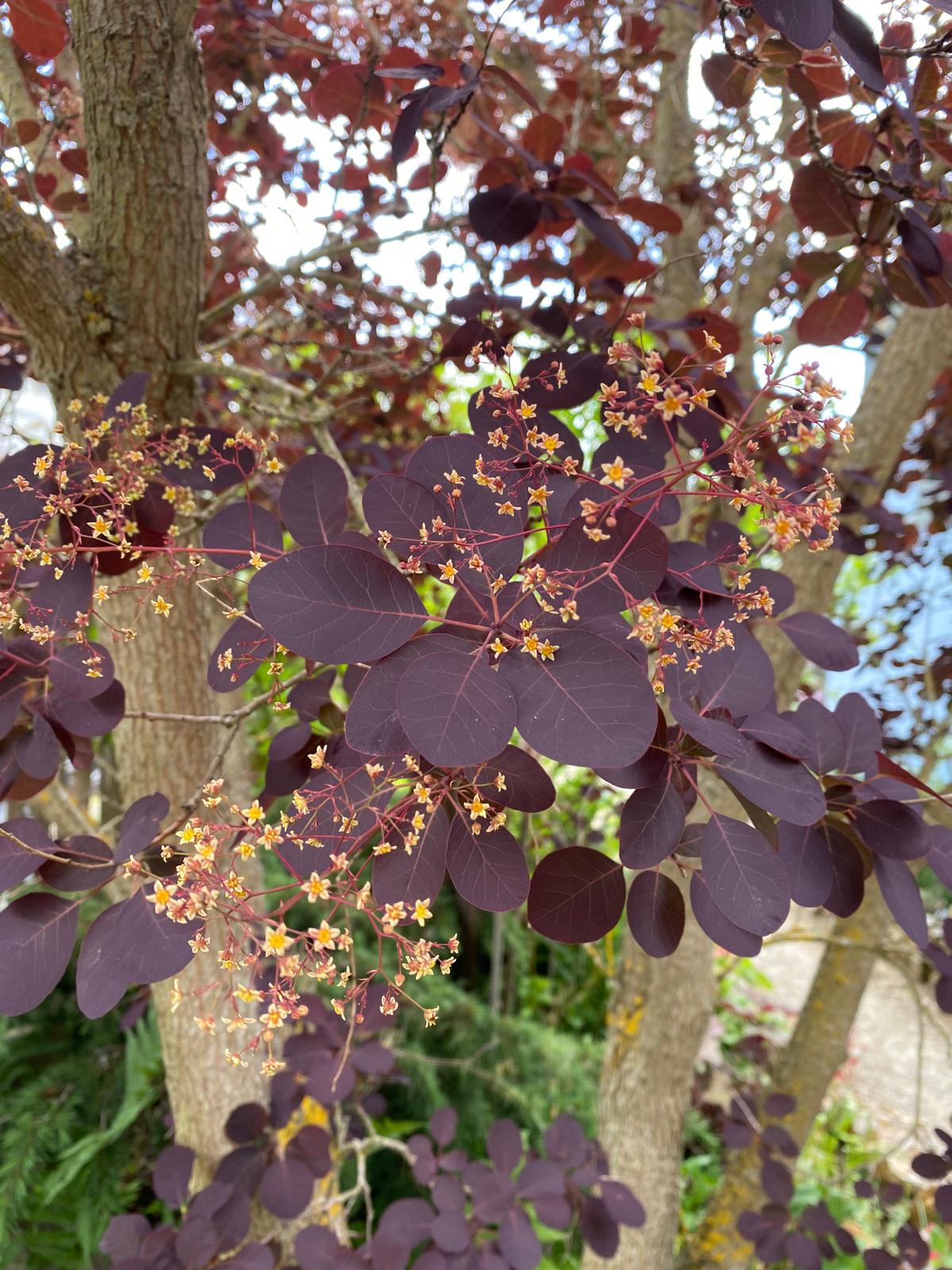 WhatsApp Image 2025-06-13 at 13.28.56